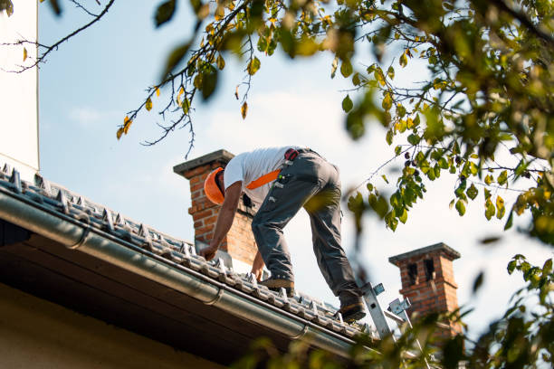 Best Roof Gutter Cleaning  in Ross, CA