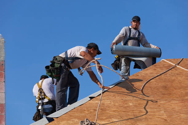 Best Commercial Roofing Services  in Ross, CA